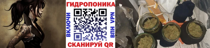 купить наркотик  Красноярск  МАРИХУАНА White Widow 